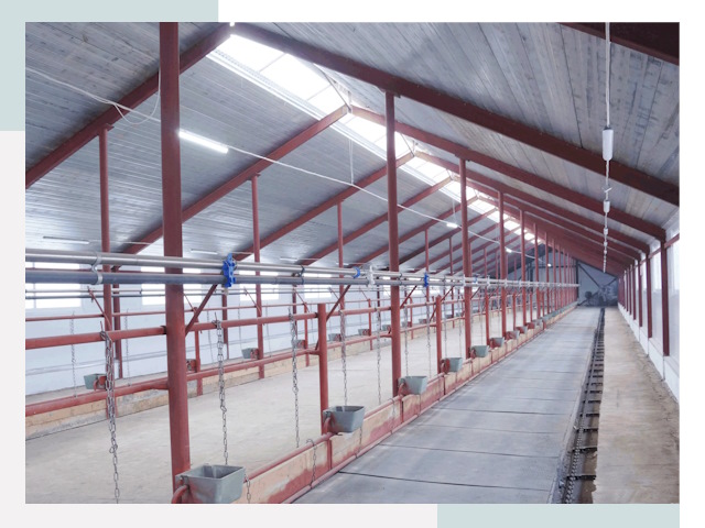 Строительство коровников в Оренбурге от 610 руб.