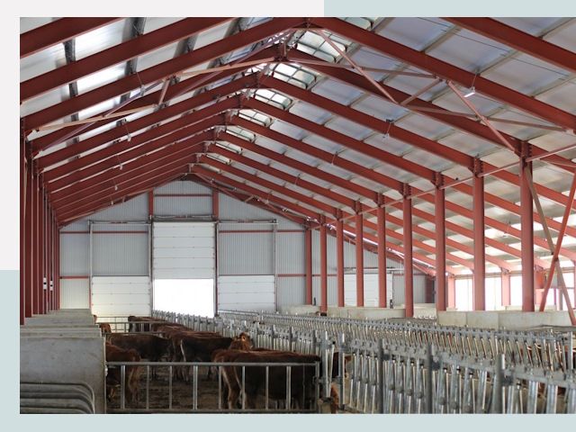 Строительство коровников в Оренбурге