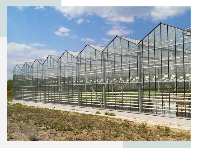 Строительство теплиц в Оренбург от 610 руб. за м²