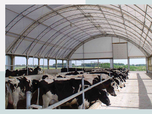 Тентовые коровники в Оренбурге